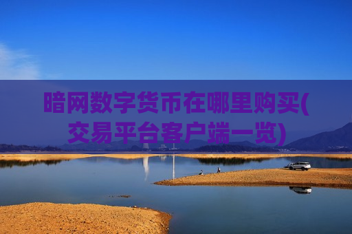暗网数字货币在哪里购买(交易平台客户端一览)