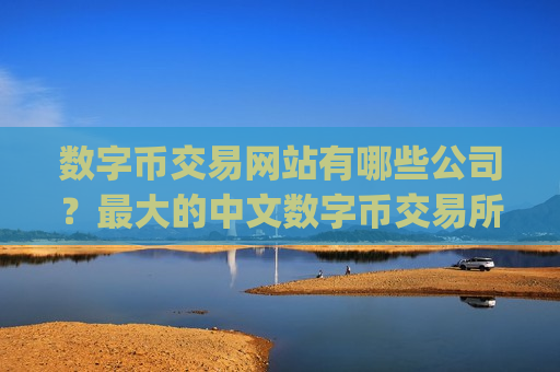 数字币交易网站有哪些公司？最大的中文数字币交易所app下载-第1张图片-币圈网