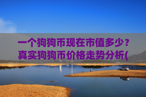 一个狗狗币现在市值多少？真实狗狗币价格走势分析(现价3.3168元)