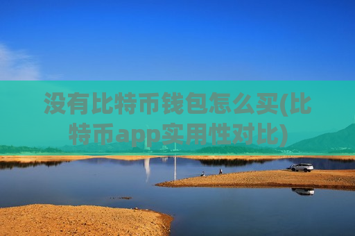 没有比特币钱包怎么买(比特币app实用性对比)