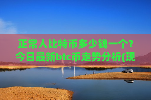 正常人比特币多少钱一个？今日最新btc币走势分析(现价729281.86元)