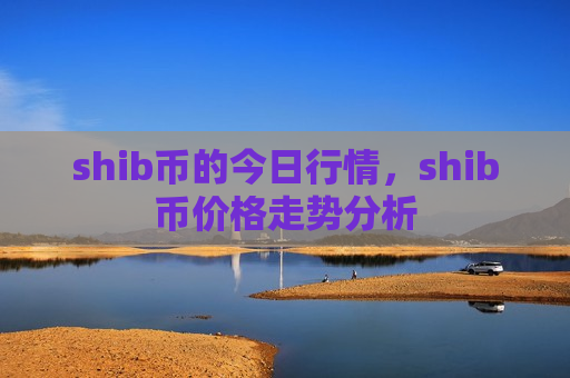 shib币的今日行情，shib币价格走势分析