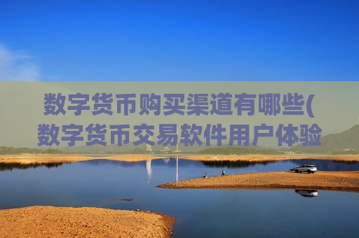 数字货币购买渠道有哪些(数字货币交易软件用户体验佳)