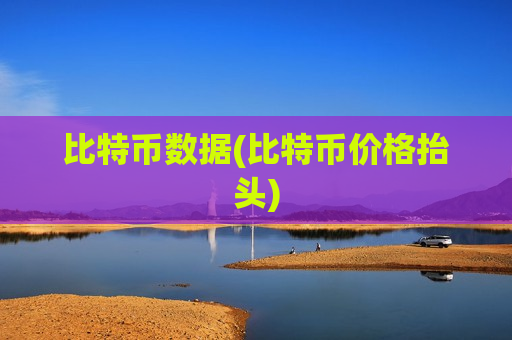 比特币数据(比特币价格抬头)