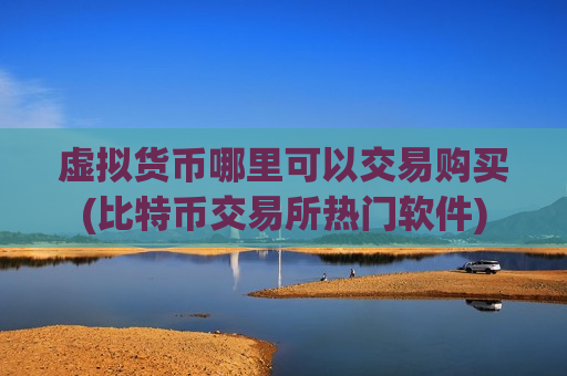 虚拟货币哪里可以交易购买(比特币交易所热门软件)