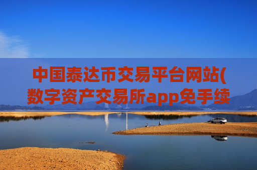 中国泰达币交易平台网站(数字资产交易所app免手续费)-第1张图片-币圈网