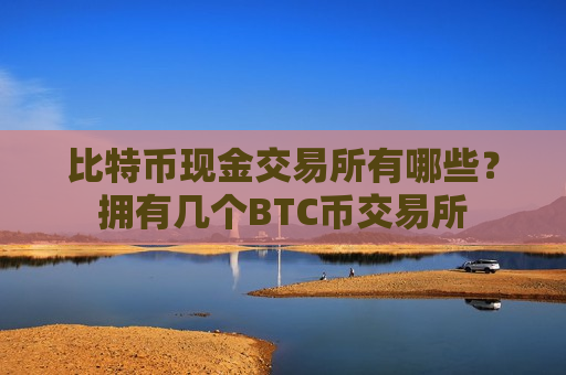 比特币现金交易所有哪些?拥有几个BTC币交易所-第1张图片-币圈网 比特币现金交易所有哪些?拥有几个BTC币交易所-第1张图片-币圈网