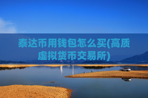 泰达币用钱包怎么买(高质虚拟货币交易所)