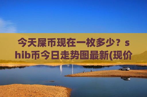 今天屎币现在一枚多少？shib币今日走势图最新(现价0.00023078元)