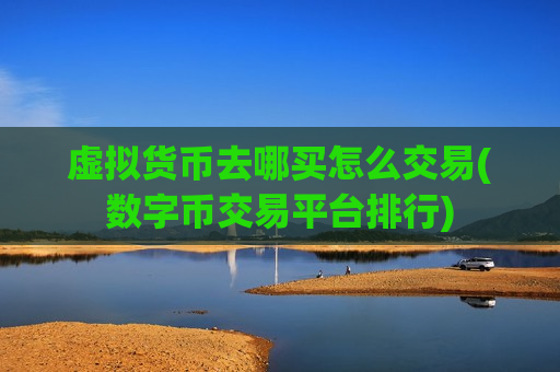 虚拟货币去哪买怎么交易(数字币交易平台排行)