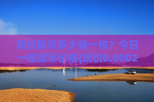 现价屎币多少钱一枚？今日一枚屎币价格(现价0.00020263元)