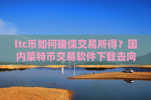 ltc币如何确保交易所得？国内莱特币交易软件下载去向