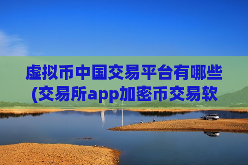 虚拟币中国交易平台有哪些(交易所app加密币交易软件)
