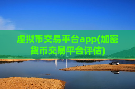 虚拟币交易平台app(加密货币交易平台评估)
