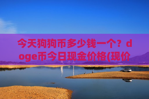 今天狗狗币多少钱一个？doge币今日现金价格(现价2.9289元)