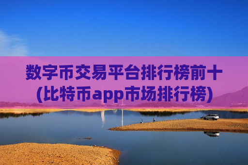 数字币交易平台排行榜前十(比特币app市场排行榜)