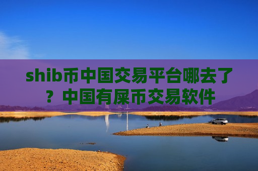 shib币中国交易平台哪去了？中国有屎币交易软件