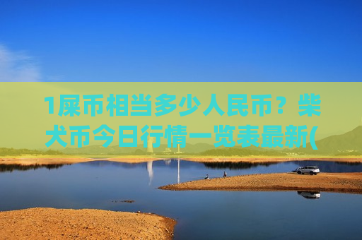 1屎币相当多少人民币？柴犬币今日行情一览表最新(现价0.00020239元)