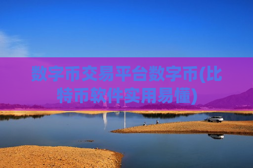 数字币交易平台数字币(比特币软件实用易懂)