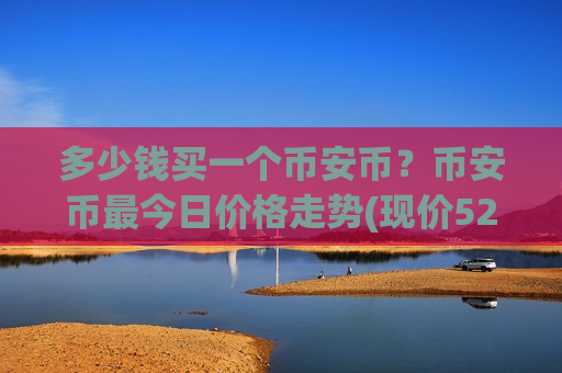多少钱买一个币安币？币安币最今日价格走势(现价5214.41元)