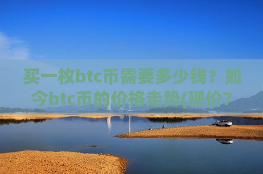 买一枚btc币需要多少钱？如今btc币的价格走势(现价748442.06元)