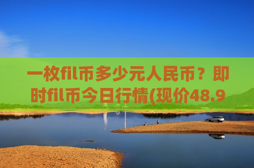 一枚fil币多少元人民币？即时fil币今日行情(现价48.9116元)