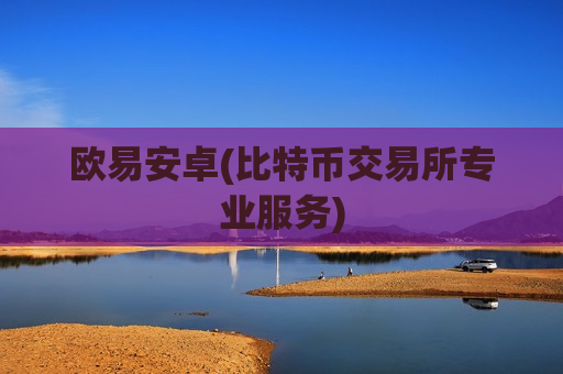 欧易安卓(比特币交易所专业服务)