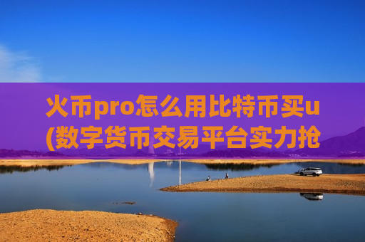 火币pro怎么用比特币买u(数字货币交易平台实力抢眼)