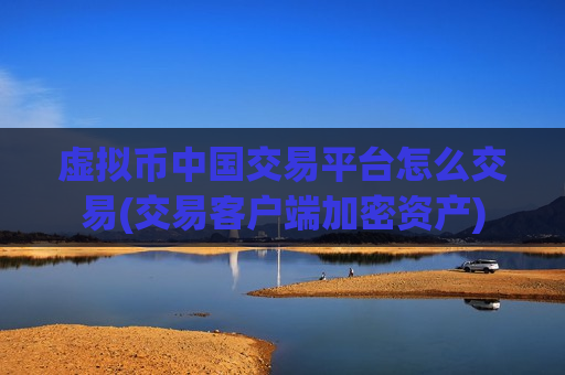 虚拟币中国交易平台怎么交易(交易客户端加密资产)