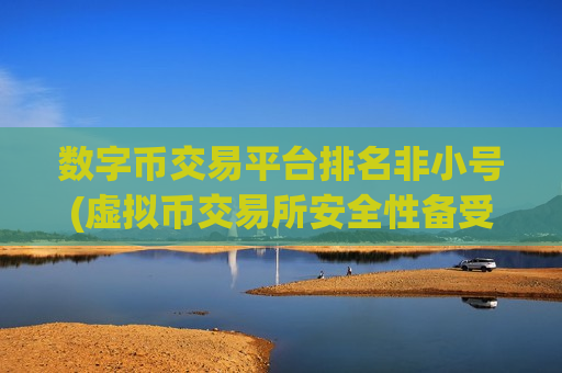 数字币交易平台排名非小号(虚拟币交易所安全性备受信赖)