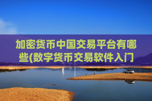 加密货币中国交易平台有哪些(数字货币交易软件入门指南)