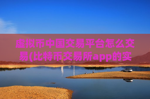 虚拟币中国交易平台怎么交易(比特币交易所app的实时行情)