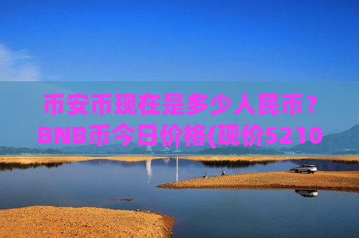 币安币现在是多少人民币？BNB币今日价格(现价5210.41元)