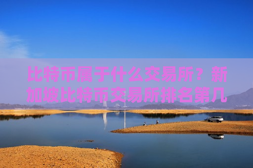 比特币属于什么交易所？新加坡比特币交易所排名第几