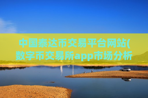 中国泰达币交易平台网站(数字币交易所app市场分析)