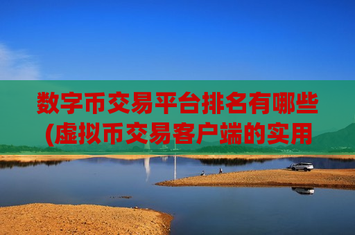 数字币交易平台排名有哪些(虚拟币交易客户端的实用指南)
