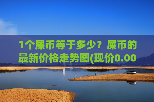 1个屎币等于多少？屎币的最新价格走势图(现价0.00020205元)