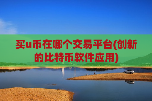 买u币在哪个交易平台(创新的比特币软件应用)