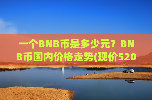 一个BNB币是多少元？BNB币国内价格走势(现价5206.59元)