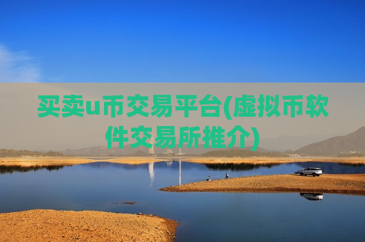 买卖u币交易平台(虚拟币软件交易所推介)