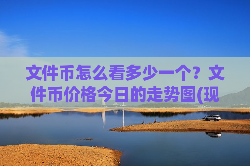 文件币怎么看多少一个？文件币价格今日的走势图(现价48.6279元)