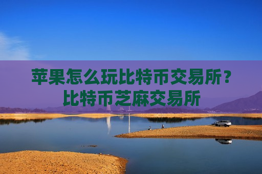 苹果怎么玩比特币交易所？比特币芝麻交易所