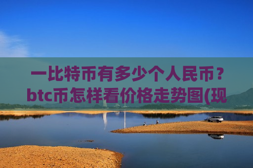 一比特币有多少个人民币？btc币怎样看价格走势图(现价747245.57元)