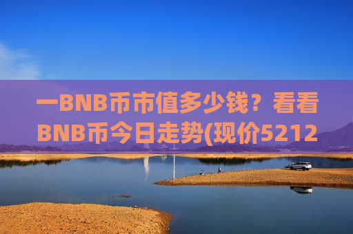 一BNB币市值多少钱？看看BNB币今日走势(现价5212.92元)