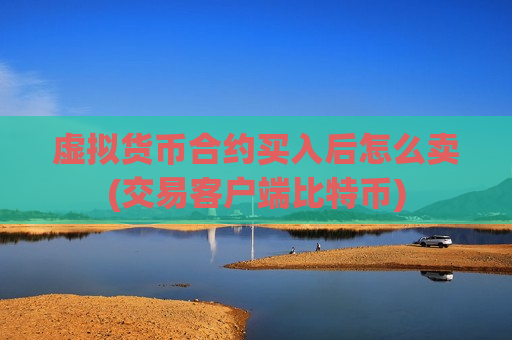 虚拟货币合约买入后怎么卖(交易客户端比特币)