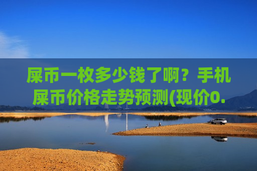 屎币一枚多少钱了啊？手机屎币价格走势预测(现价0.00020321元)