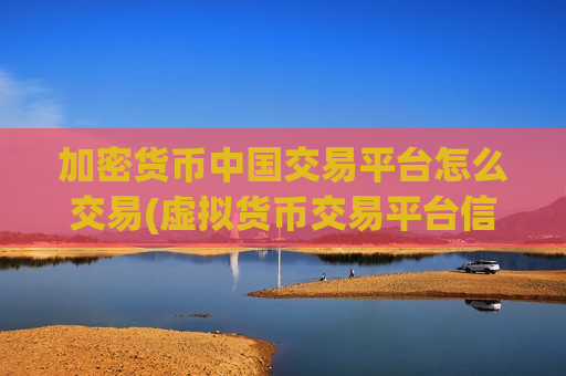 加密货币中国交易平台怎么交易(虚拟货币交易平台信息披露指南)