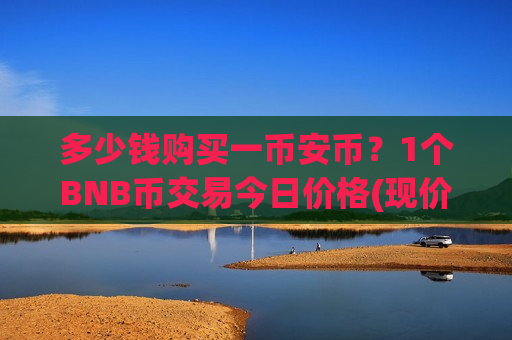多少钱购买一币安币？1个BNB币交易今日价格(现价5230.89元)
