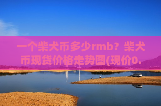 一个柴犬币多少rmb？柴犬币现货价格走势图(现价0.00020187元)