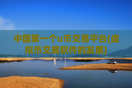 中国第一个u币交易平台(虚拟币交易软件的发展)